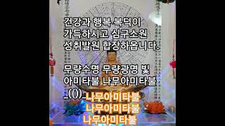 건강과 행복 복덕이 가득하시고 심구소원 성취발원 합장하옵니다.무량수명 무량광명 빛 아미타불 나무아미타불 _(())_