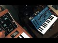 moog minimoog model d and maschine mikro house music jam.