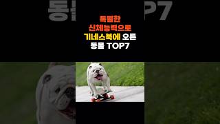 특별한 신체능력으로 기네스북에 오른 동물 TOP7