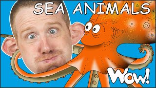 Sea Animals for Kids from Steve and Maggie Stories | Free Speaking Wow English TV