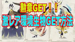 激レア環境生物GET方法！これで勲章ゲットじゃ。【モンハンライズ】（全種類）