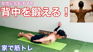 背中に翼を！！広背筋を自宅で自重で筋トレ！！