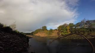 Salmon fishing the river south Tyne (20 lb salmon and 4lb sea trout caught )