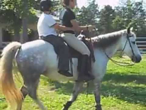 Riding Double Youtube