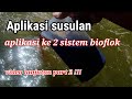 Aplikasi kedua sistem bioflok #bioflok #biofloknila #aplikasisusulan