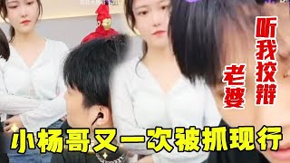 小杨哥偷看美女，又一次被小杨嫂抓现形 #小杨哥头号粉丝 #瘋狂小楊哥