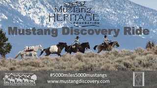 EQUUS Television Mustang Discovery Ride Interview at Art of the Cowgirl!!