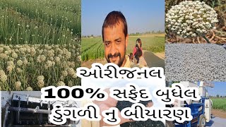 ડુંગળી નુ બીયારણ 🧅 100% ઓરીજનલ બુધેલ નુ બીયારણ 📱Jai Shri Ram 🦚બીયારણ 🔴 ઉનાળાનું વેકેસન 🌞 24 Hours 🌼🌷