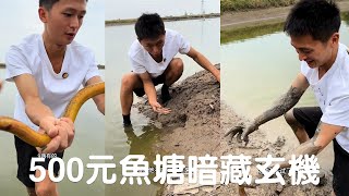 500元魚塘暗藏玄機，滿是拳頭大洞，一撈就賺翻#viralvideo  #熱門 #捕魚