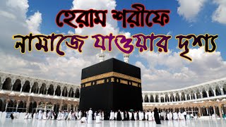 আল্লাহর ঘরে যাওয়ার দৃশ্য | Makkah | মিসফালাহ কবুতর মাঠ | Cox’s tour place media