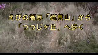 【ミヤマキリシマ咲き誇るえびの高原】【硫黄山からつつじヶ丘へ歩く】【韓国岳】【えびの岳】20200506