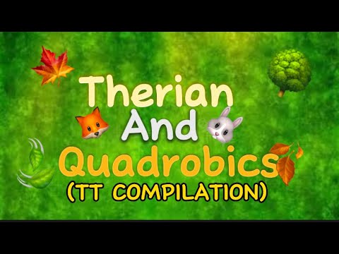 Therian Quadrobics Tiktok Compilation Youtube