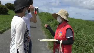 大観峰に阿蘇ジオガイド案内所開設