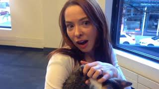 #UberKITTENS: Kittens on demand