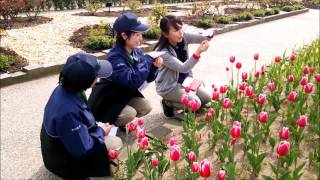 いくとぴあ食花　実習・見学　新潟農業・バイオ専門学校　園芸デザイン科１年生