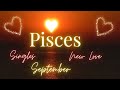 PISCES ~ SINGLES New Love Reading September 2024