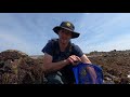 FORAGING BIG SPIDER CRAB & LOBSTERS - Epic Coastal Forage , Cooking Sea Food On The Beach !