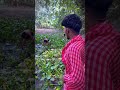 এতো গুলো মাছ 😳🐟❌ minivlog shortvideo vlog