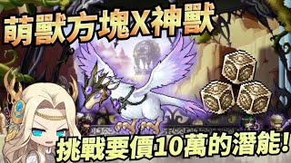 【新楓之谷】【神秘】一隻３總萌獸竟然要１１萬台幣！？這到底是什麼價格？神秘科普３總歷史事件！最後小洗幾組萌獸拚看看三總神獸 XD 抱歉....夢醒了 😪