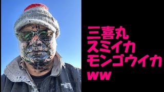 三喜丸　スミイカ　モンゴウイカ