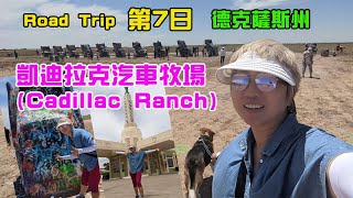 Road Trip 第7日 凱迪拉克汽車牧場(Cadillac Ranch)/德克薩斯州