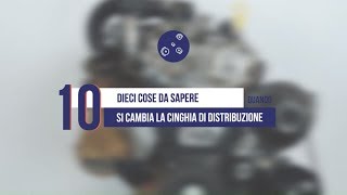 💁‍♂️💡 10 cose da sapere quando si cambia la cinghia di distribuzione 💡💁‍♂️