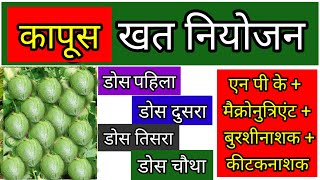 #कापूस खत व्यवस्थापन डोस kapsala konte khat takave #kapus #कपाशी #kapashi #khat #kapas