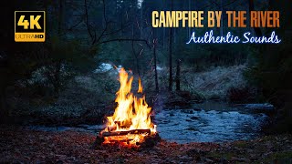 4K Lagerfeuer am Fluss 🔥 Authentische Naturgeräusche 🌲 Meditation