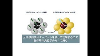 『ココカラ』Research13【肺がんを封じ込める治療薬を作る】/金沢大学研究紹介動画