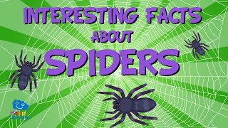 Interesting facts about Spiders | Educational Video for Kids.