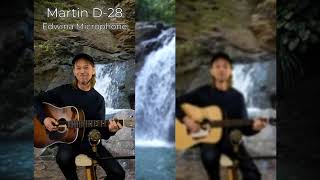 Recording King RD-328 Vs Martin D-28 #acousticguitar Comparison