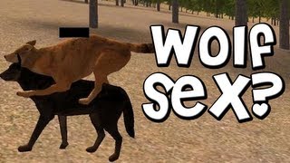WOLF SEX? Wolf Quest (How to Get a Mate and Pups)