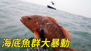 The seabed fish rioted, Ah Feng dived into the seabed! 【Fishermen Exploring the Sea】