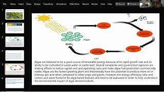 🌿Student Insights: The Role of Algae in Climate Sustainability & Ecosystem Health🌍 | SACHCHIT DASH