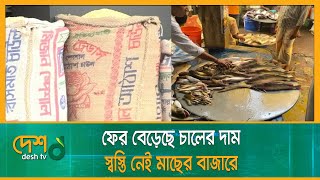 ফের বেড়েছে চালের দাম, স্বস্তি নেই মাছের বাজারে | Market Price | Kushtia News | Narsingdi News