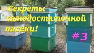 ✅ Первый хороший доход от меда! Секрет самодостаточной пасеки! 3 Часть! #пчеловодство1