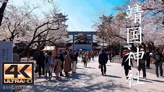 【4K】 春の桜咲く靖国神社へ The cherry blossoms and YASUKUNI SHRINE in Tokyo Japan 2021