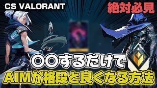 【CS VALORANT】これするだけでAIMが格段と良くなる！解説しました。