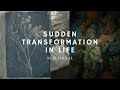 sudden transformation in life ~ 𝐬𝐮𝐛𝐥𝐢𝐦𝐢𝐧𝐚𝐥 formula k2 read description 👁️⃤