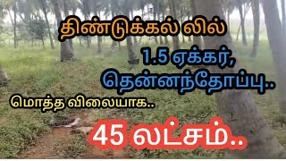 1.5 ஏக்கர் தென்னந்தோப்பு,மொத்த விலையாக 45 லட்சம் .. திண்டுக்கல் மாவட்டம்..