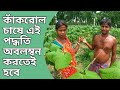 আধুনিক পদ্ধতিতে কাঁকরোল চাষ করে সফল | Kakrol Chash | Teasle gourd | Baganwala | Green friends