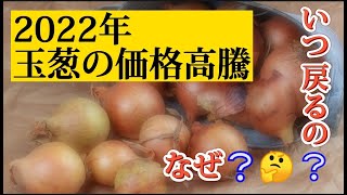 玉葱の価格高騰😲