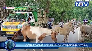 குதிரைகளால் சாலையில் போக்குவரத்து பாதிப்பு வாகன ஓட்டிகள் மற்றும் பொதுமக்கள் பெரும் அவதி