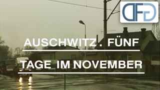 Auschwitz - Five Days In November 1995 (Auschwitz as a museum)