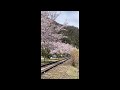 yasuno hananoeki park安野花の駅公園（旧jr可部線安野駅）