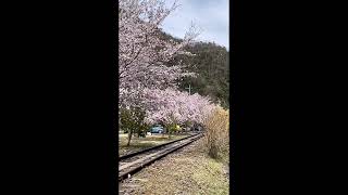 Yasuno Hananoeki Park安野花の駅公園（旧JR可部線安野駅）