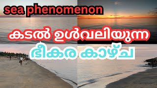 കടൽ ഉൾവലിയുന്നത് Live ആയി കണ്ടോ |sea phenomenon  😳😳 kadal ull valinju| viral video #seavideo