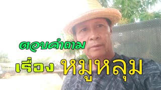 ตอบข้อสงสัยในการเลี้ยงหมูหลุม ep2