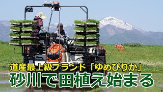 砂川で田植え ブランド米「ゆめぴりか」 2022/5/18