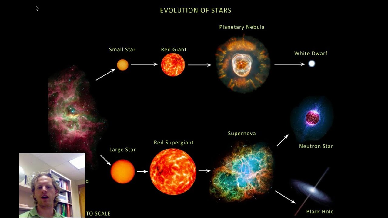 White Dwarf Neutron Star - Ebony Perfect Ass